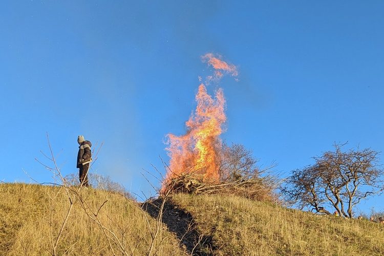 Ostra Skogen Cover - Copy